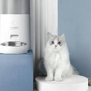 Pet Cat Water Fountain Smart Automatic Feeder