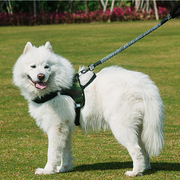 Dog chain dog leash large medium small dog chest